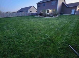 Richard S.'s Lawn Maintenance service result