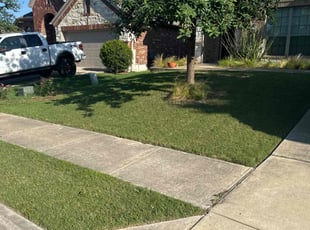Cara M.'s Lawn Care service result
