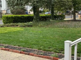 Doug M.'s Lawn Care service result