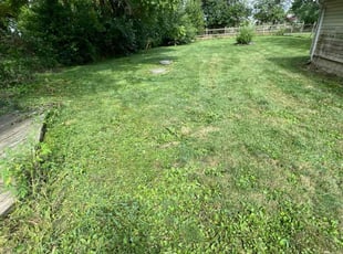 Richard G.'s Yard Cutting service result