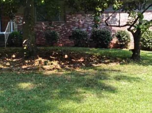 Leaf Removal by Daniel Diaz for Eunice E. in Atlanta, GA