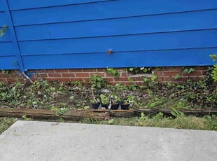 Weeding by Nathaniel Howard for Ron A. in Richmond, VA