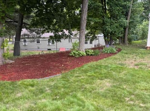 Aeration by Henry Jimenez for Arumugam S. in Windsor, CT