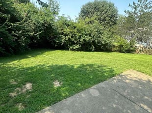 Christopher S.'s Lawn Service service result