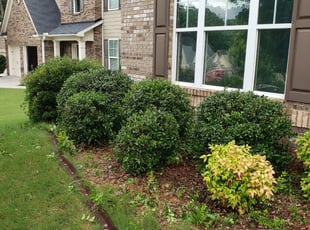 Bush Trimming by Peter Coke for Reginald B. in Marietta, GA