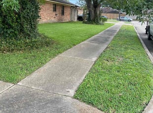 Paula C.'s Lawn Care service result
