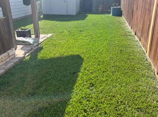 Elizabeth E.'s Lawn Service service result