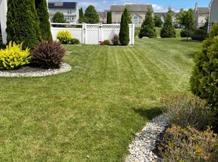 Brittney D.'s Grass Cutting service result