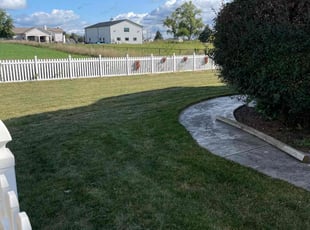 Bernie C.'s Lawn Mowing service result