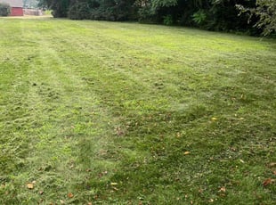 Charles M.'s Lawn Maintenance service result