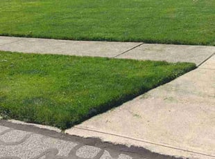 Sarah M.'s Lawn Mowing Service service result