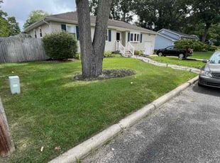 David R.'s Lawn Mowing service result