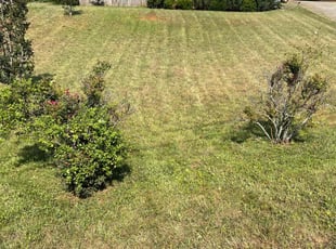 Jim S.'s Lawn Mowing Service service result
