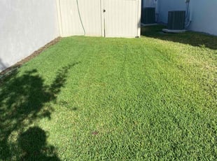 Deborah G.'s Yard Cutting service result