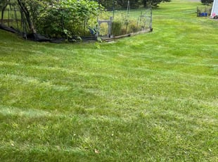 Jason M.'s Lawn Care service result