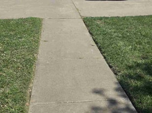 Dilyah A.'s Lawn Mowing service result