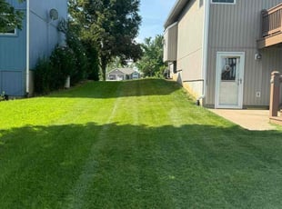Pat N.'s Lawn Service service result