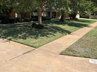 Debbie B.'s Lawn Service service result