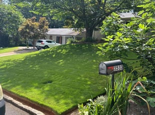 Mike C.'s Lawn Mowing Service service result