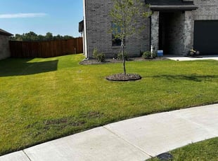 Christina E.'s Lawn Care service result