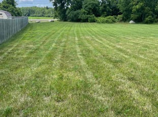 Alberto S.'s Lawn Service service result