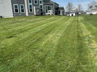 Jeanne M.'s Lawn Service service result