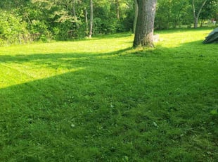 Robert L.'s Lawn Care service result