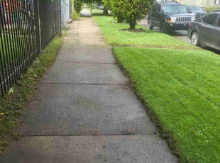 Darie G.'s Yard Cutting service result