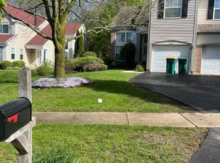 Catlin B.'s Lawn Service service result