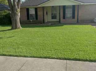 Kim M.'s Lawn Mowing service result