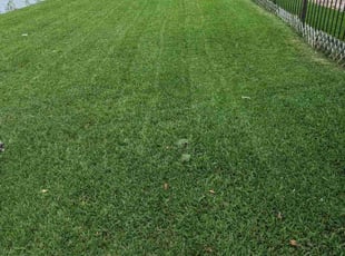 Brett B.'s Lawn Mowing service result