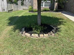 Atia N.'s Yard Cutting service result