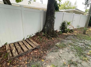 Cleanups by Isaiah Fiechtner for Josh S. in Tampa, FL