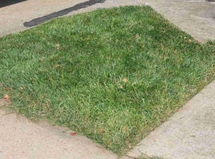 JoRon R.'s Lawn Service service result