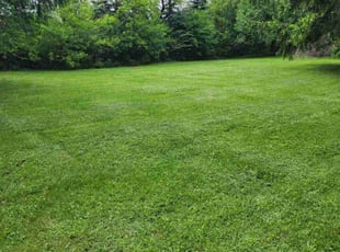 Robert M.'s Grass Cutting service result