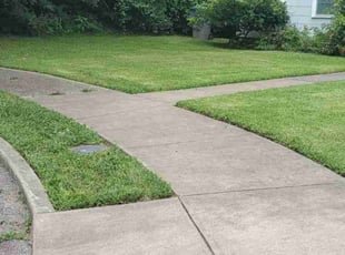 Jun P.'s Lawn Mowing service result