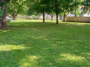 Wendy S.'s Lawn Mowing service result