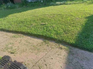 rebekah t.'s Lawn Care service result