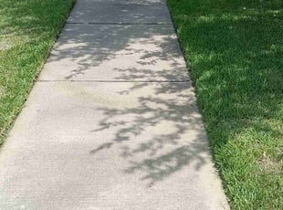 Brenda N.'s Lawn Maintenance service result