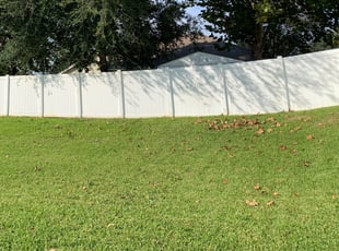 Landscaping by Pelay Adams for Douglas C. in Davenport, FL
