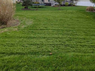 David A.'s Grass Cutting service result