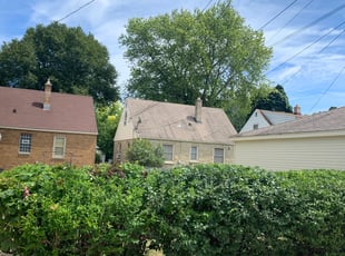 Bush Trimming by Michael Williams for Kevin O. in Milwaukee, WI