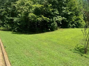Kelly E.'s Lawn Service service result