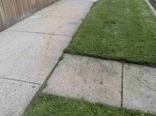 Shelly K.'s Lawn Care service result