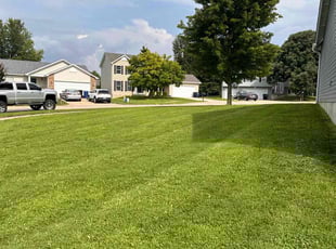Janet H.'s Yard Cutting service result