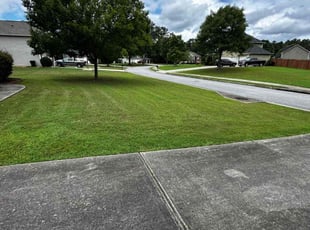 Nathan S.'s Lawn Mowing service result