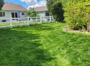 Laura K.'s Lawn Mowing service result