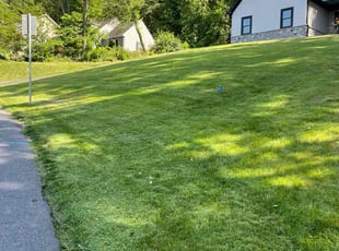 Mike W.'s Lawn Mowing Service service result