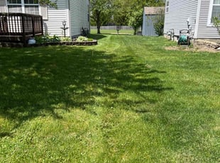 David S.'s Lawn Care service result