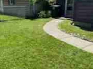 Britianna W.'s Lawn Mowing Service service result